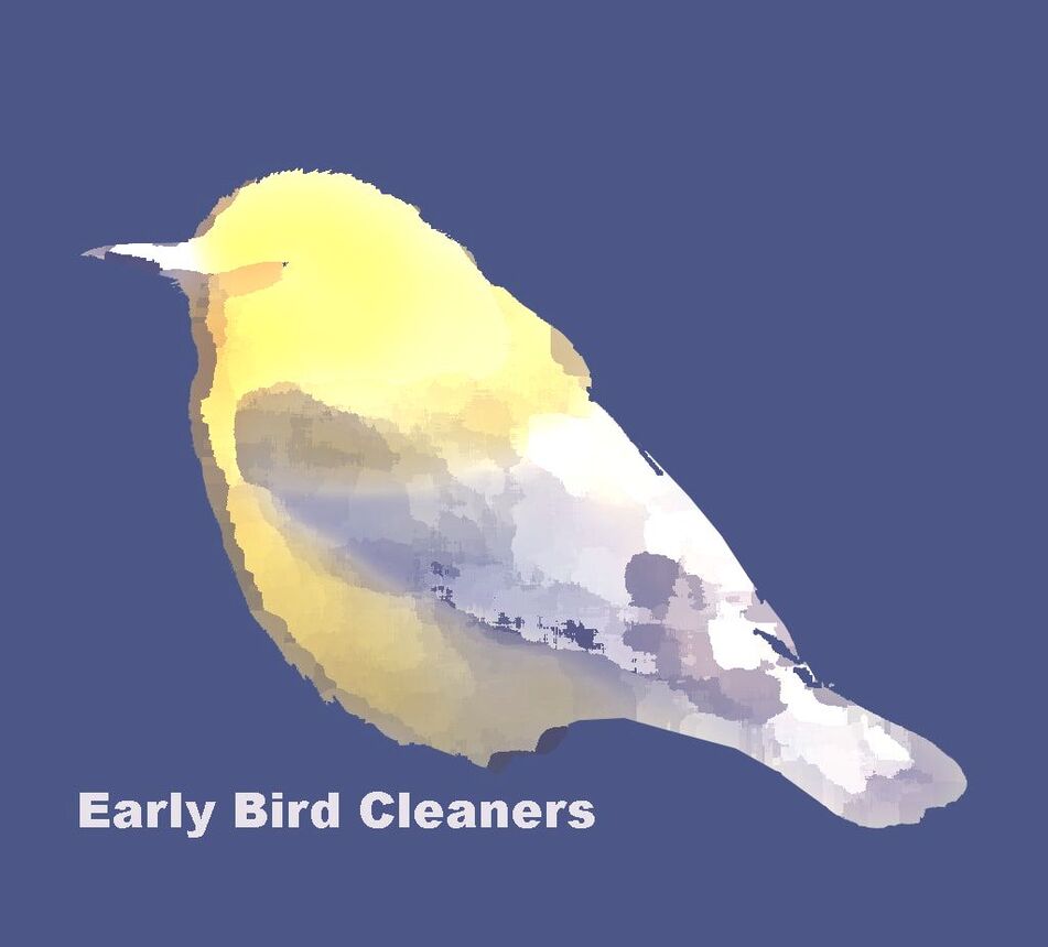 EARLY BIRD CLEANERS